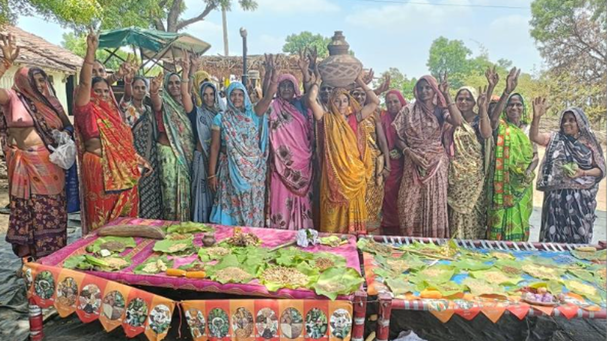 Rajasthan tribal movement sowing indigenous seeds hopes to reap a harvest of resilience